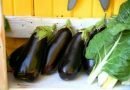 Courgette cravings were just the tip of the iceberg – is aubergine next?