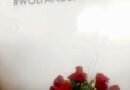 Wolf & Badger Turns 7