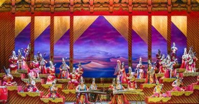 China National Traditional Orchestra perform onstage