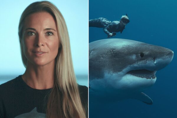 The Impact of Ocean Ramsey on Shark Conservation