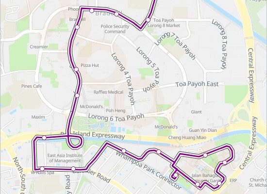 The Central Line: An Essential Part of London’s Transport Network