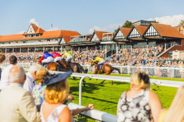 Experience the Thrill of Chester Races
