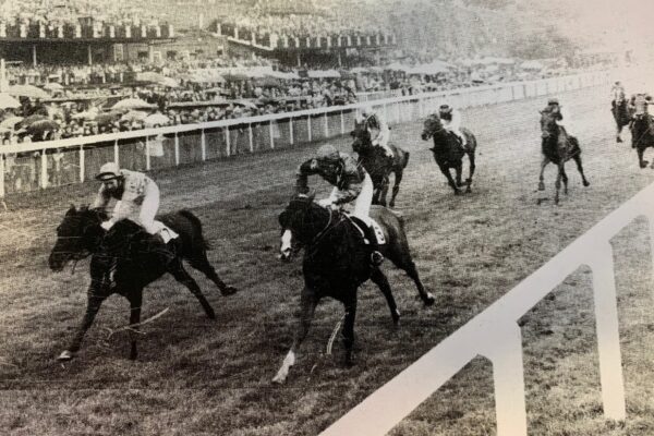 Chester Races: Tradition Meets Excitement at the Course