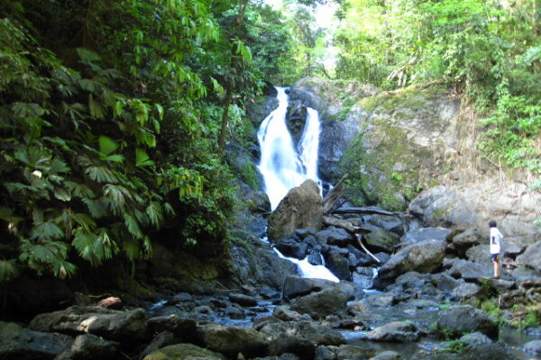 Exploring the Natural Wonders of Costa Rica