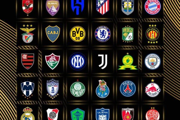 CWC 2025: What to Expect from the Upcoming Cricket World Cup