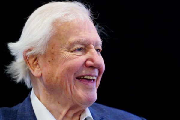 David Attenborough: A Lifelong Advocate for Nature