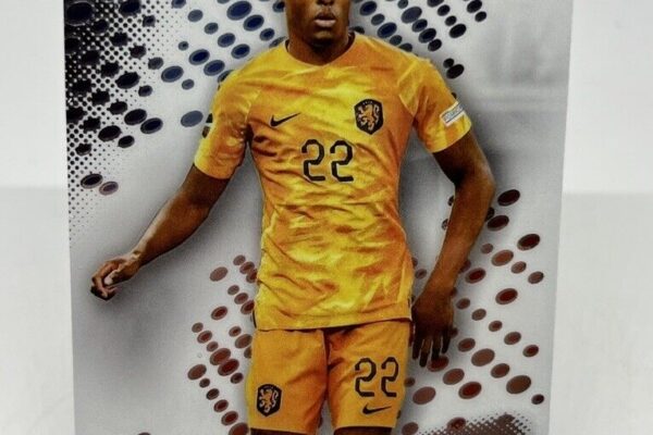 Denzel Dumfries: A Rising Star in International Football
