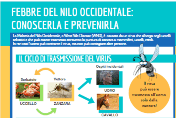 La Febbre del Nilo: Rischi e Importanza della Prevenzione