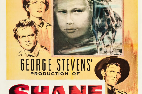 The Importance of IMDB in the Film Industry