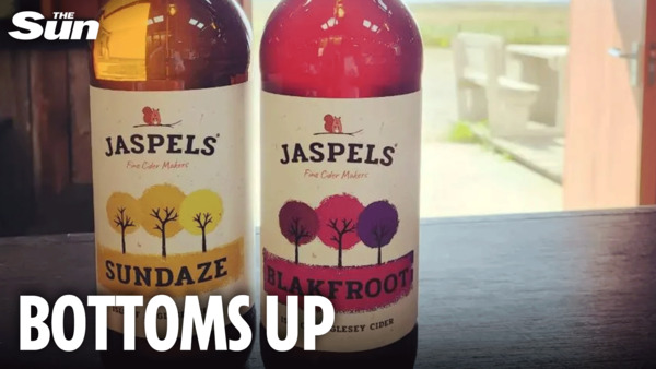 Exploring the Unique Flavours of Jaspels Cider