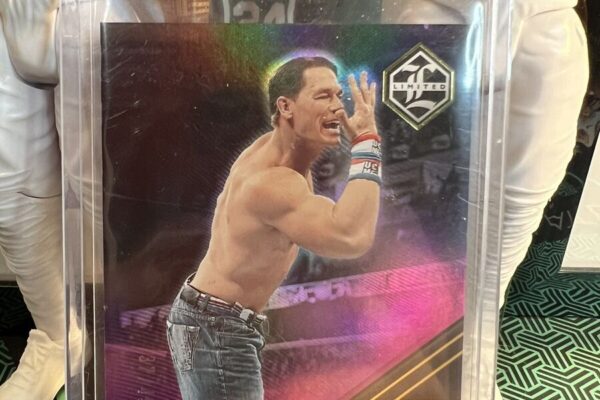 The Multifaceted Career of John Cena
