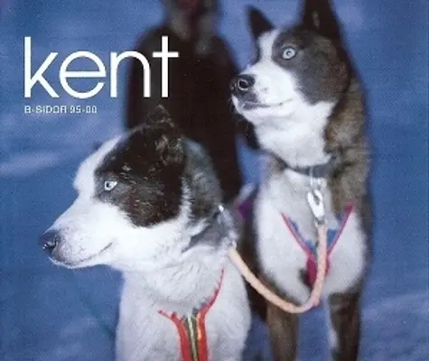 Kent Online: Your Go-To Resource for Local News and Events