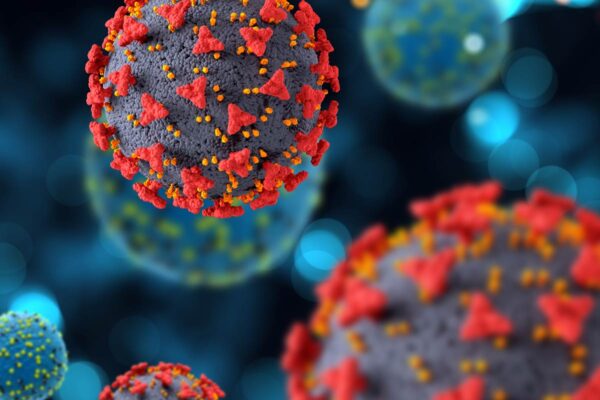 Understanding the New COVID Strain Stratus: A Global Concern