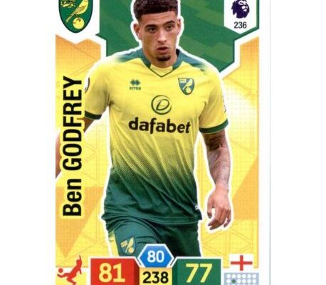Exploring the Recent Developments of Norwich City