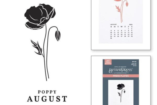 Understanding the Cultural Importance of the Poppy Flower