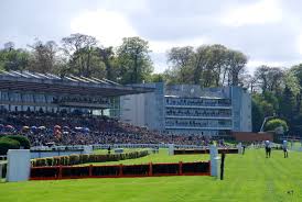 Exploring Sandown Park: The Jewel of Surrey’s Leisure Scene