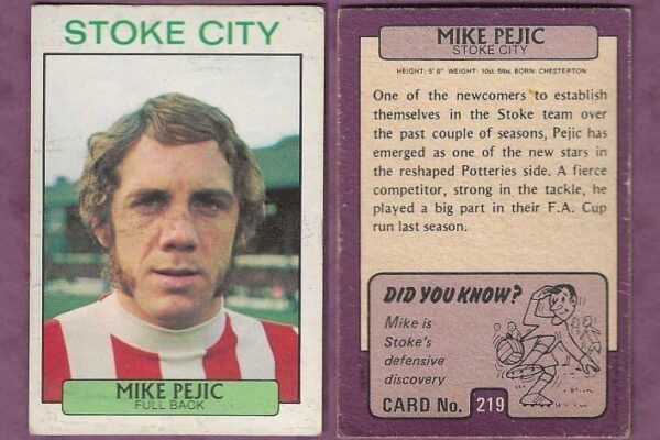 Exploring the Legacy of Stoke City Football Club
