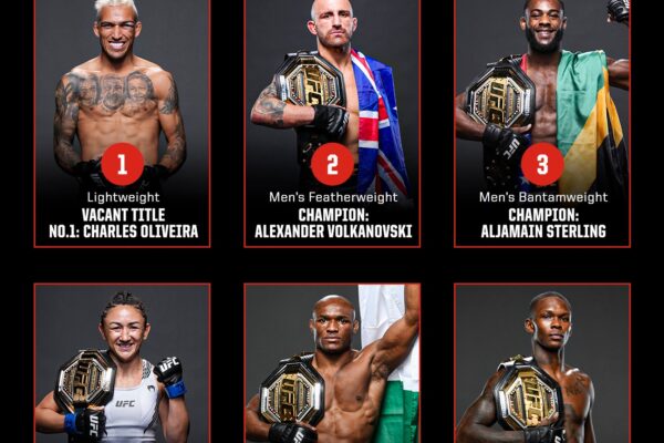 An Overview of the Current UFC Rankings