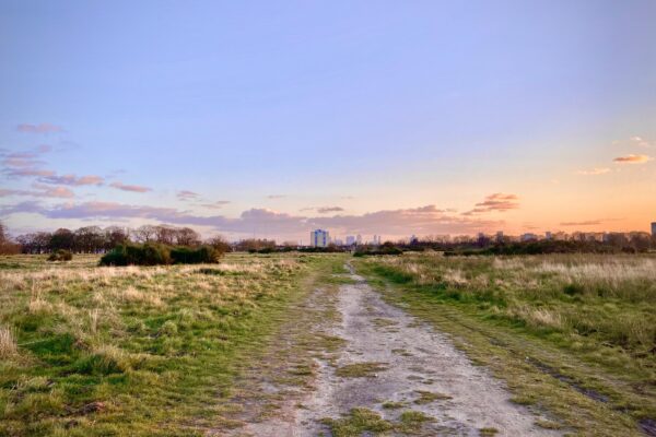 Exploring Wanstead Flats: A Green Oasis in London