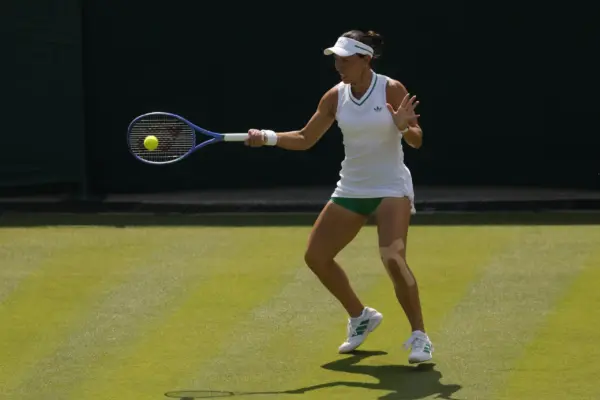 Wimbledon Final 2025: Anticipations and Predictions