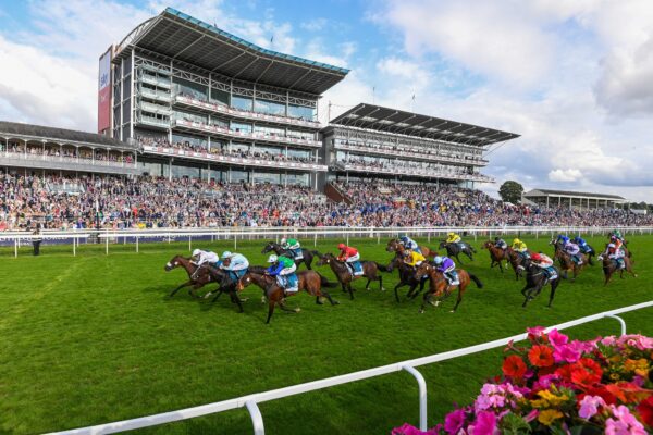 Excitement Unfolds at York Races Today