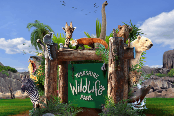 Discover Yorkshire Wildlife Park: A Hub for Conservation