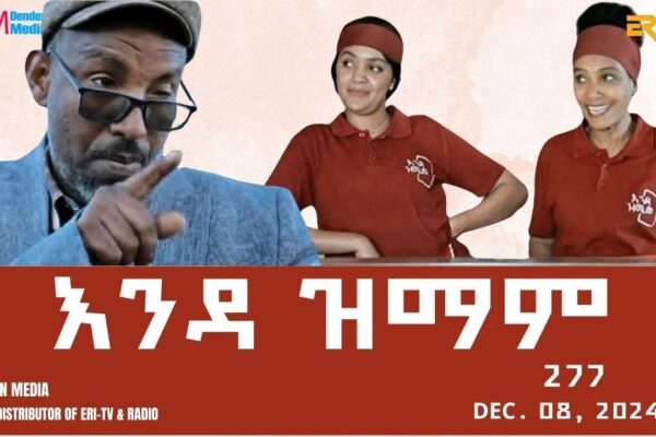 Understanding the Eritrean Community in the UK