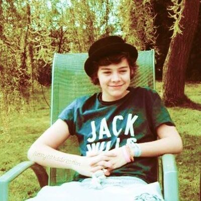 Harry: Recent Developments and Insights