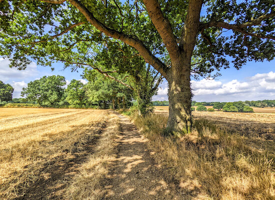 Unveiling Hertfordshire: Heritage and Modernity