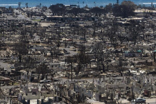 The Growing Crisis of Incendies: An Overview