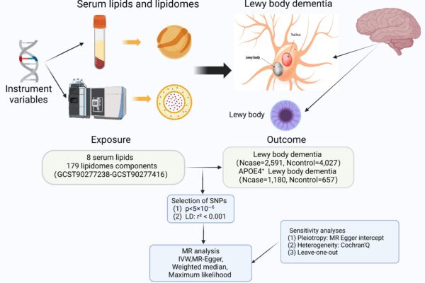 Understanding Lewy Body Dementia: Symptoms and Care