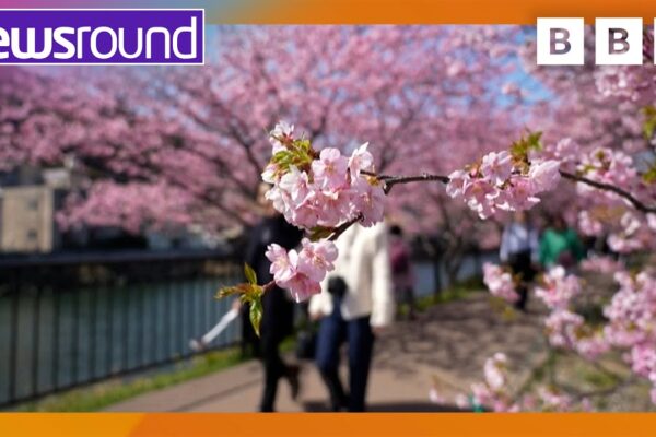 An Overview of Newsround: Importance and Recent Developments