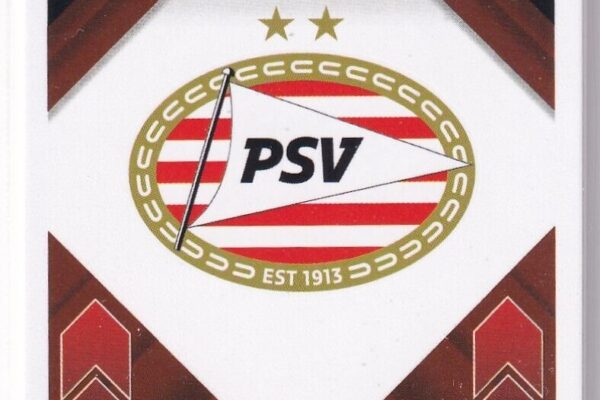 Understanding the Role and Importance of PSV