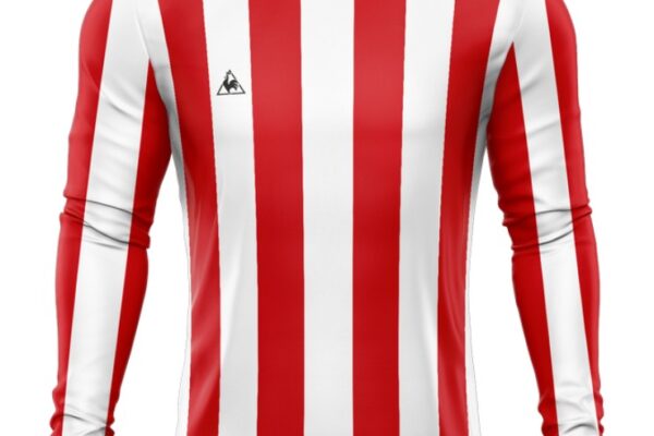 The Triumphs and Legacy of PSV Eindhoven