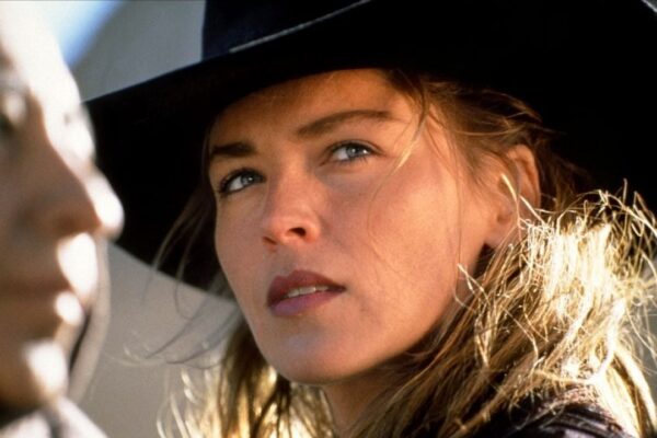 Sharon Stone: A Hollywood Icon and Philanthropist