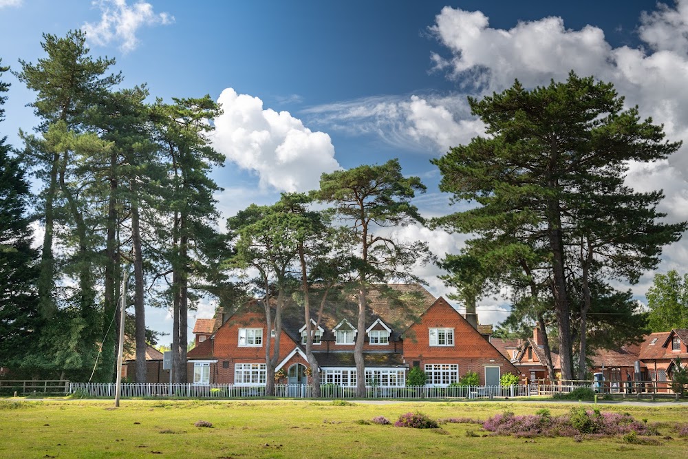 Exploring the Beauty and History of Brockenhurst