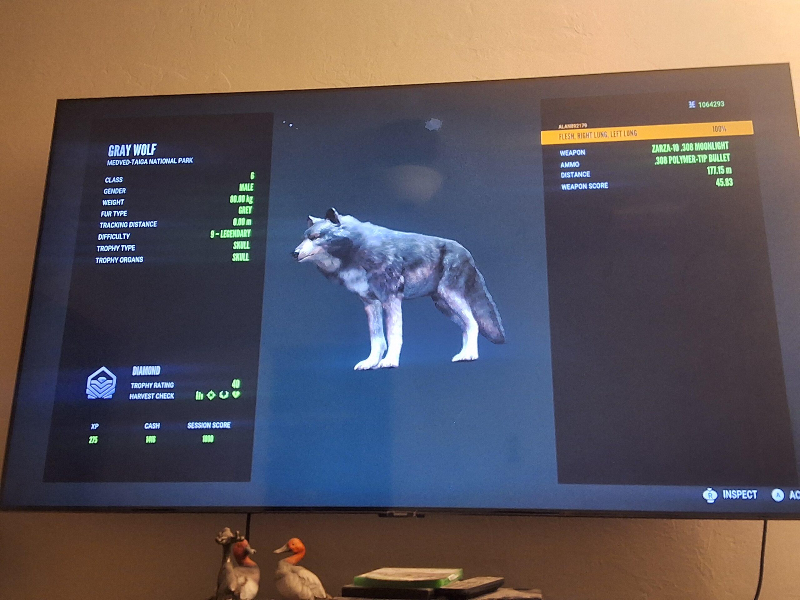 Exploring Wolves Score: Latest Match Highlights and Future Fixtures