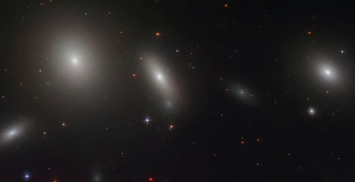 Understanding the Billion-Dollar Economy: Trends and Insights