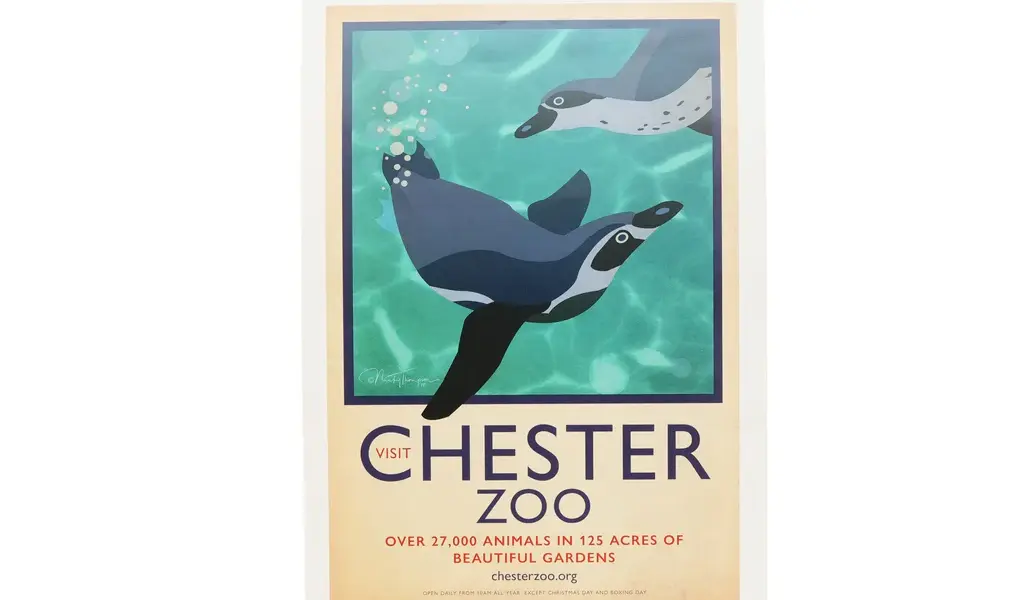 Exploring Chester Zoo: Conservation Efforts and Beyond