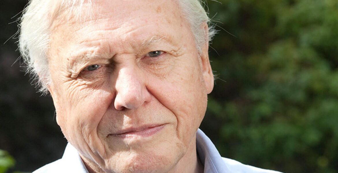 David Attenborough: The Voice of Nature Documentaries