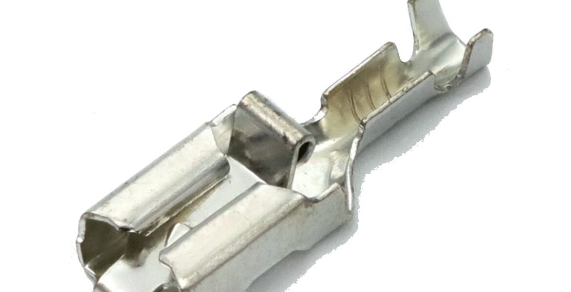 The Importance of the Federal Government in Modern Society