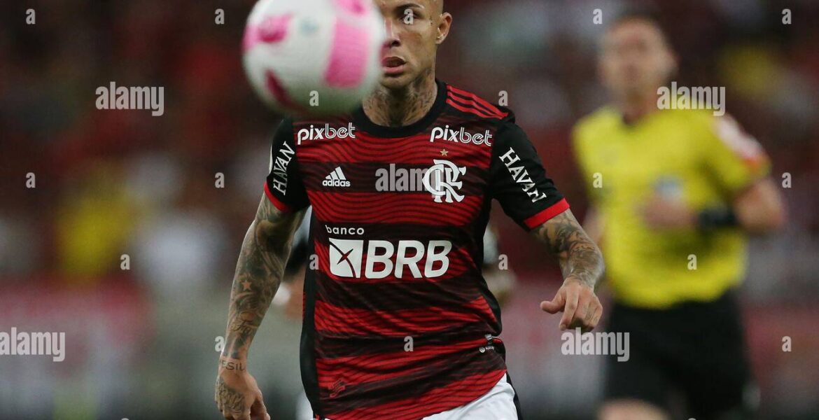 Exploring Flamengo Football Club: A Brazilian Football Icon