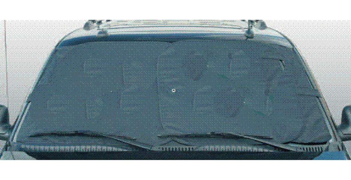 The Importance of Ground in Nature and Daily Life