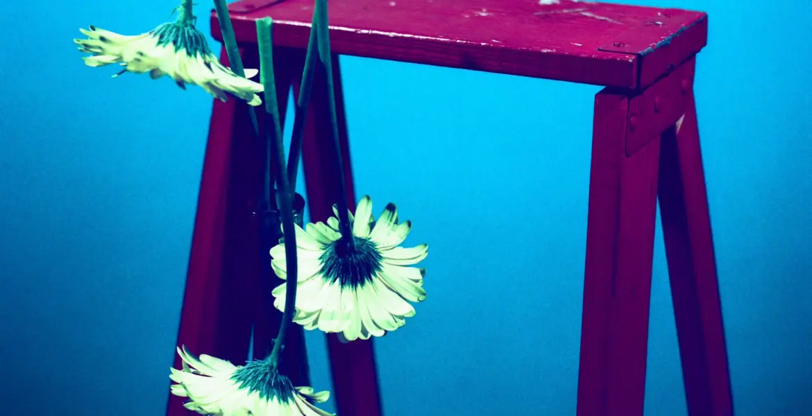 The Journey of Liv Tyler: From Stardom to Activism