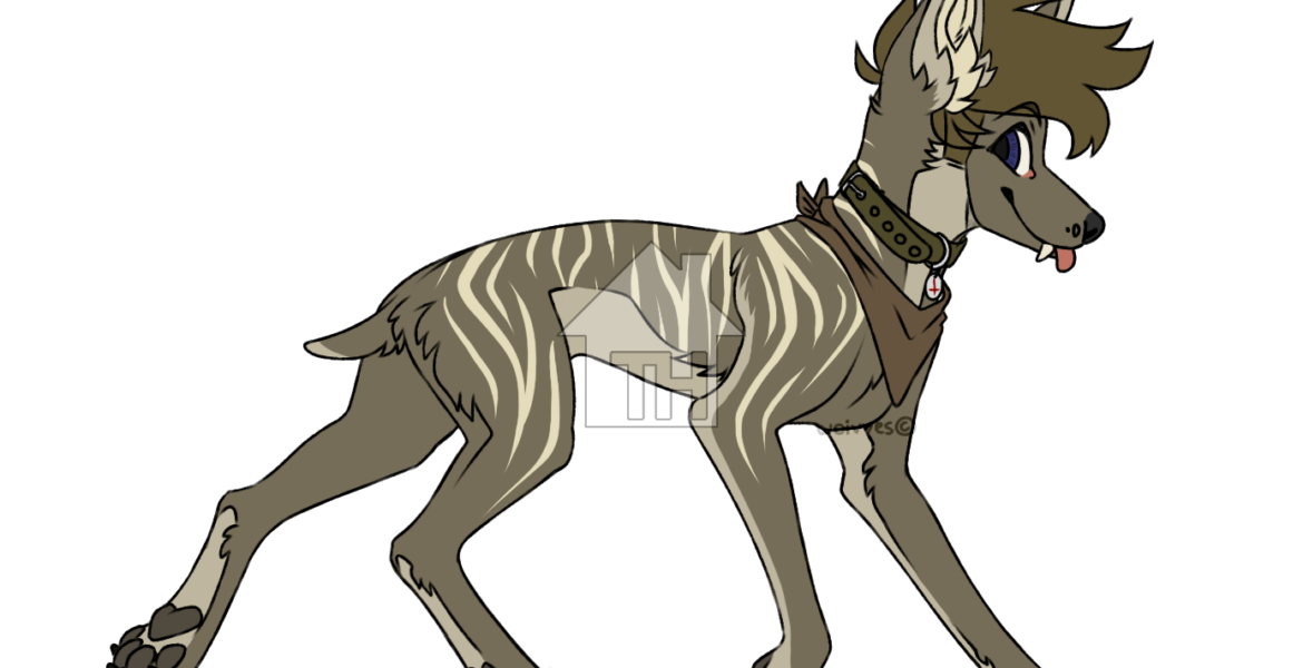 The Rise of Nando’s: A Journey Through Peri-Peri Paradise