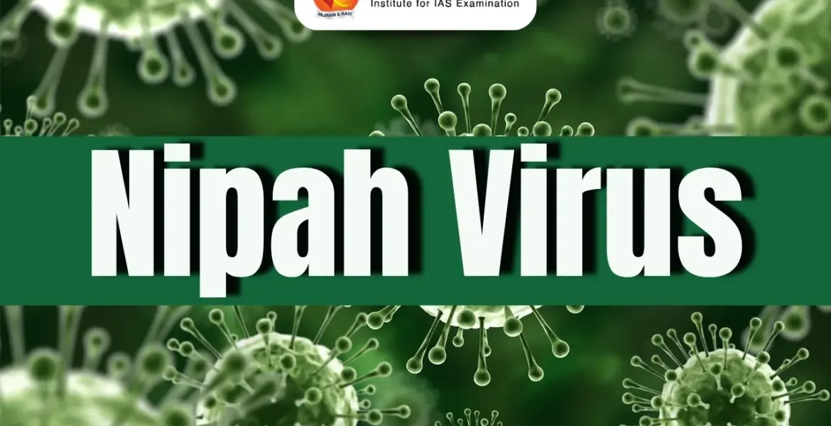 Understanding the Nipah Virus: Outbreaks and Safety Measures