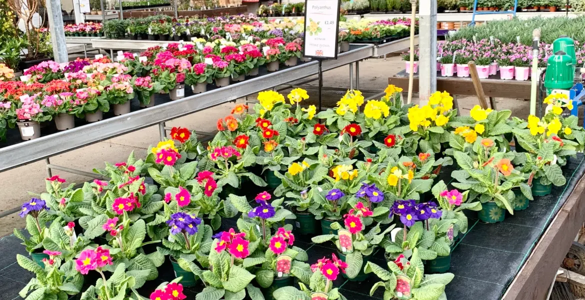 The Importance of Taking Notes for Learning and Productivity