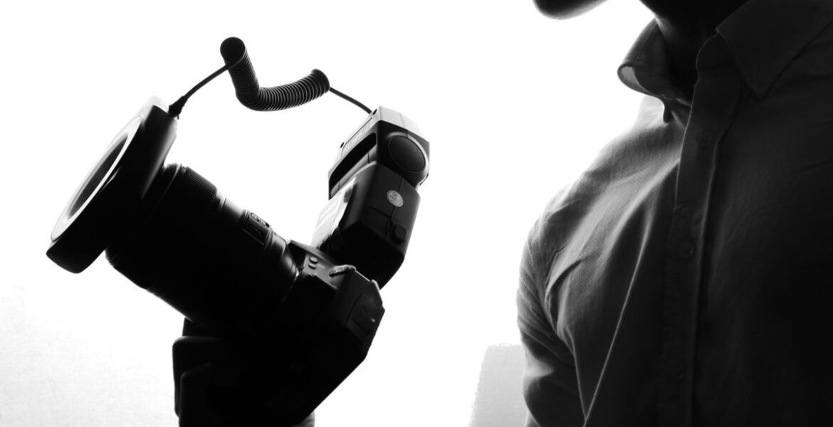 Understanding Penguins: Species, Habitats and Conservation