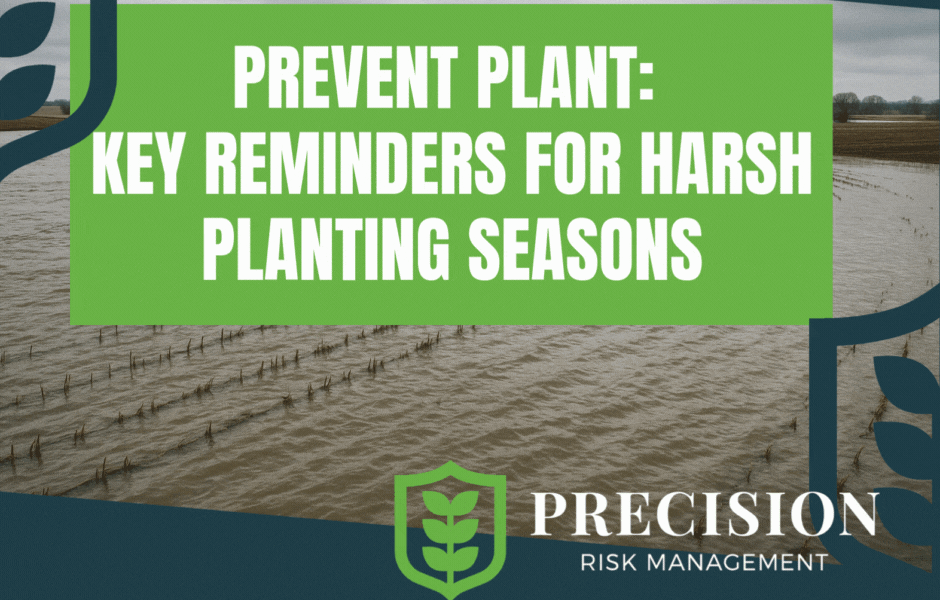 Essential Strategies to Prevent Common Health Issues