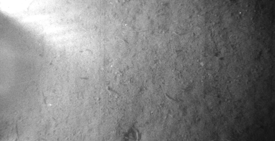 The Role and Resurgence of Pubs in UK Communities